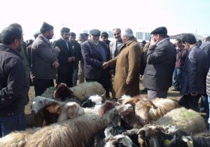 CHP'den ithal et tepkisi